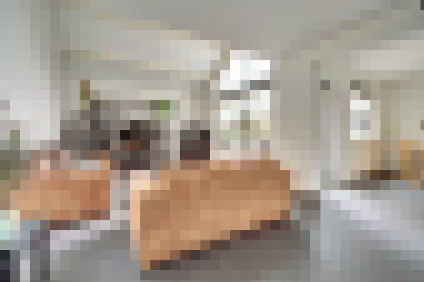 Esdoornlaan 5 Hellevoetsluis thumbnail 9