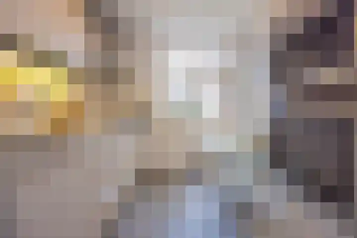 Esdoornlaan 5 Vught thumbnail 12