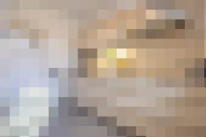 Esdoornlaan 5 Vught thumbnail 13