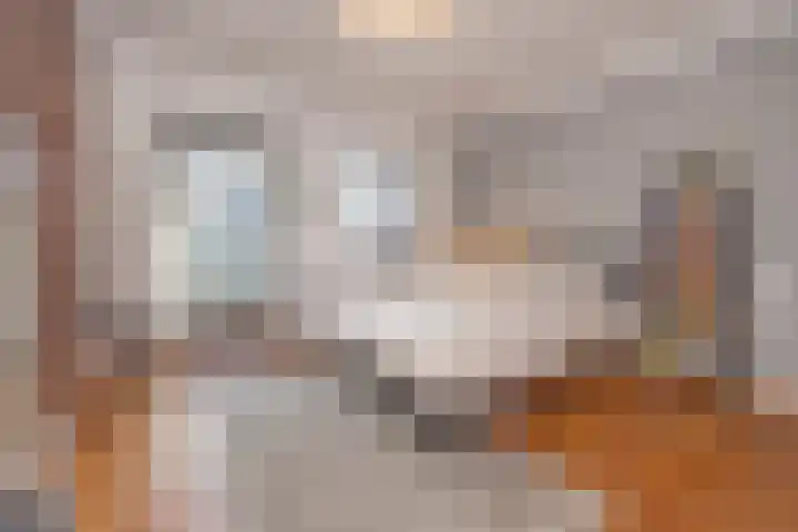 Esdoornlaan 5 Vught thumbnail 17