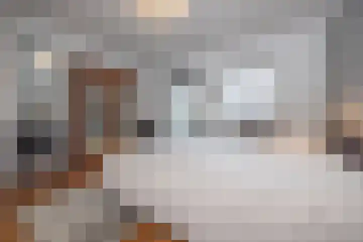 Esdoornlaan 5 Vught thumbnail 18