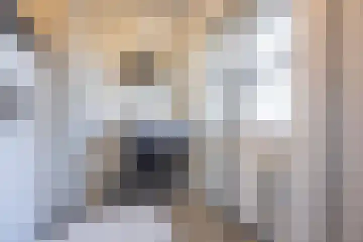 Esdoornlaan 5 Vught thumbnail 22