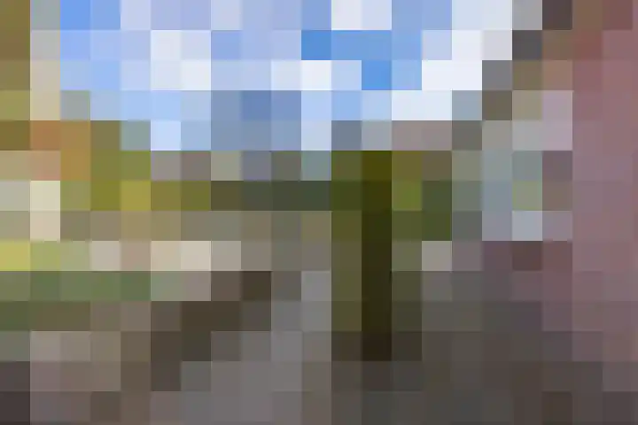 Esdoornlaan 5 Vught thumbnail 33