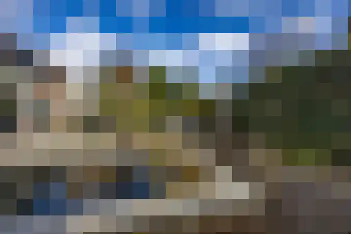 Esdoornlaan 5 Vught thumbnail 35