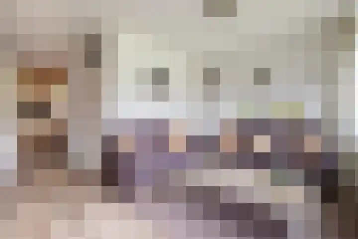 Esdoornlaan 51 Vroomshoop thumbnail 10
