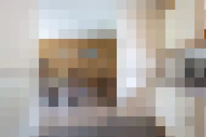 Esdoornlaan 51 Vroomshoop thumbnail 11