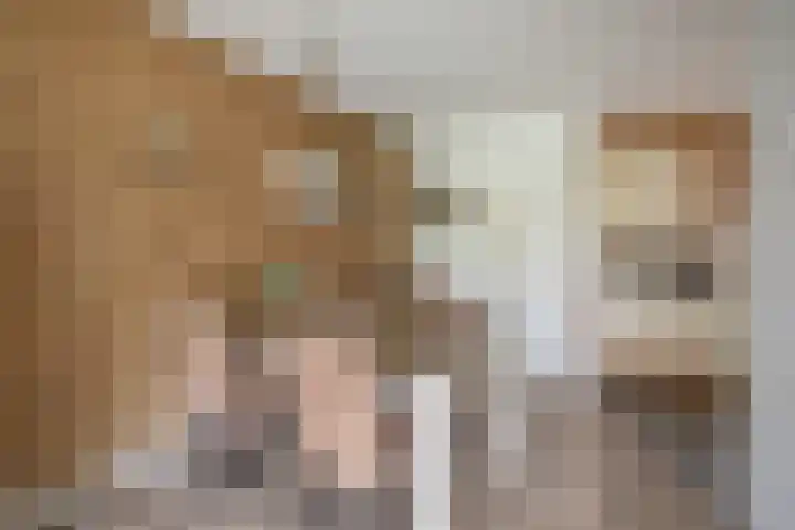 Esdoornlaan 51 Vroomshoop thumbnail 12