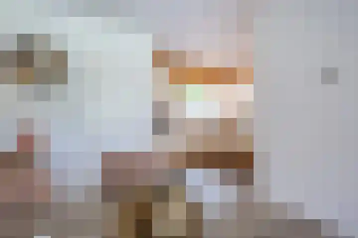 Esdoornlaan 51 Vroomshoop thumbnail 13