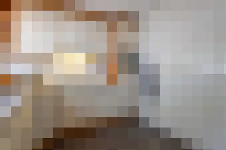 Esdoornlaan 51 Vroomshoop thumbnail 15