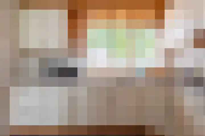 Esdoornlaan 51 Vroomshoop thumbnail 16