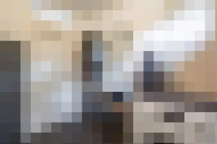 Esdoornlaan 51 Vroomshoop thumbnail 17