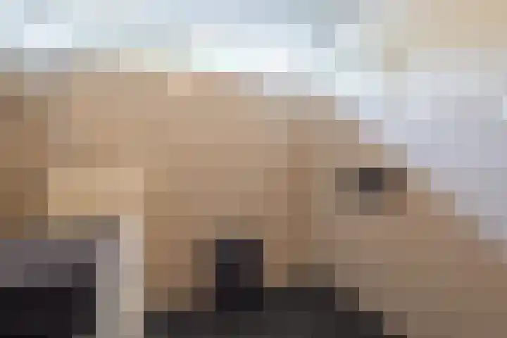 Esdoornlaan 51 Vroomshoop thumbnail 18