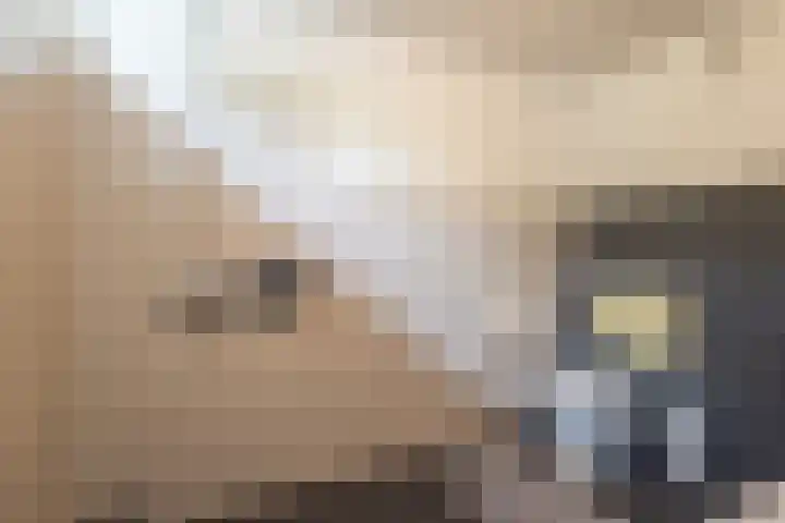 Esdoornlaan 51 Vroomshoop thumbnail 19