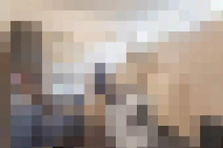 Esdoornlaan 51 Vroomshoop thumbnail 20