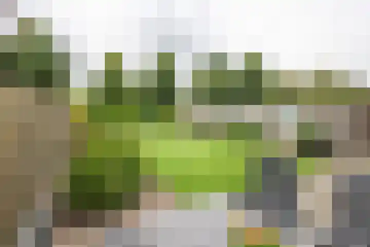 Esdoornlaan 51 Vroomshoop thumbnail 21