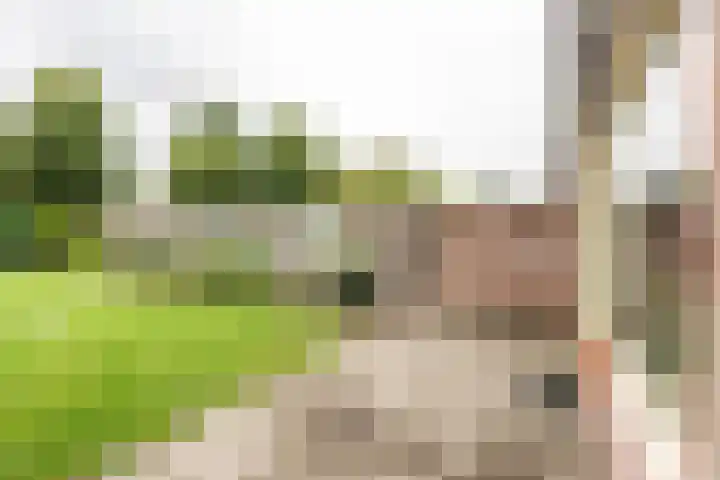 Esdoornlaan 51 Vroomshoop thumbnail 22