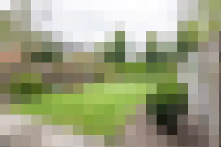 Esdoornlaan 51 Vroomshoop thumbnail 23