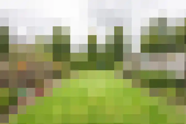 Esdoornlaan 51 Vroomshoop thumbnail 24