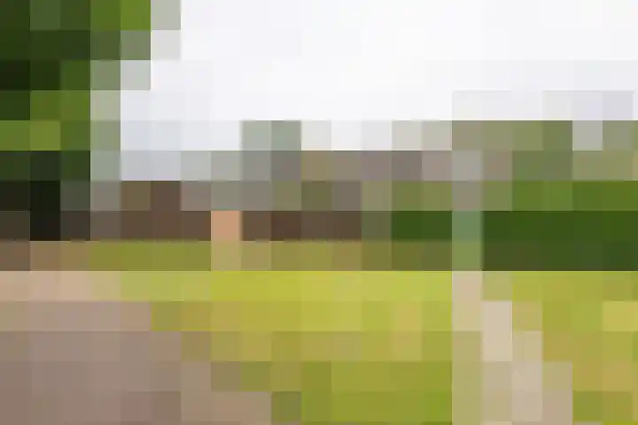Esdoornlaan 51 Vroomshoop thumbnail 26