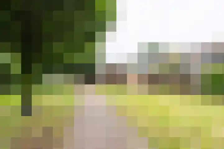Esdoornlaan 51 Vroomshoop thumbnail 27