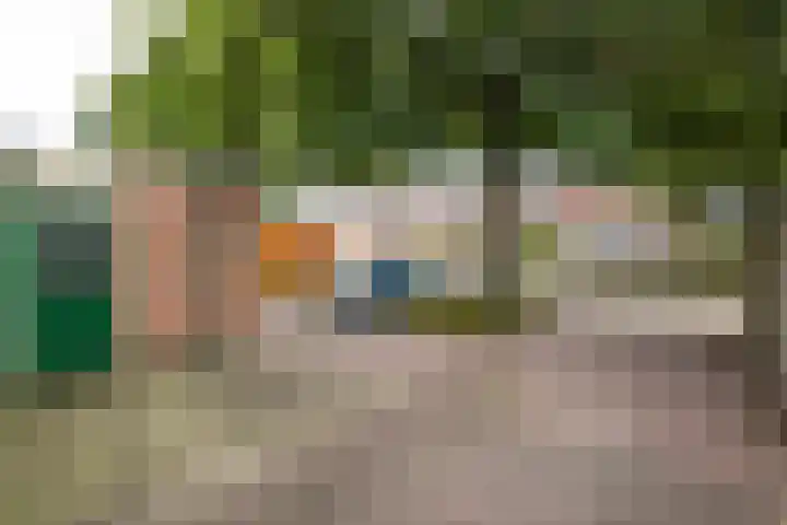 Esdoornlaan 51 Vroomshoop thumbnail 29