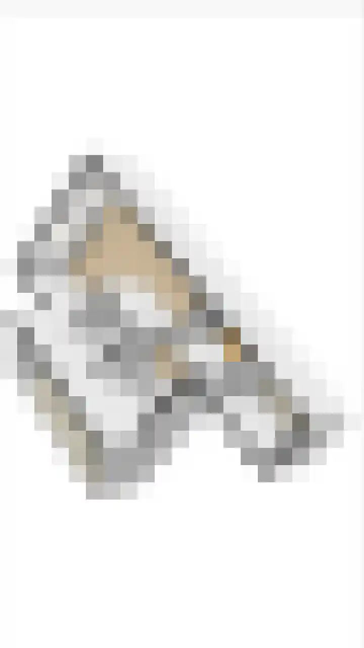 Esdoornlaan 51 Vroomshoop thumbnail 31