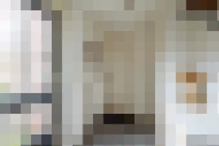 Esdoornlaan 51 Vroomshoop thumbnail 4