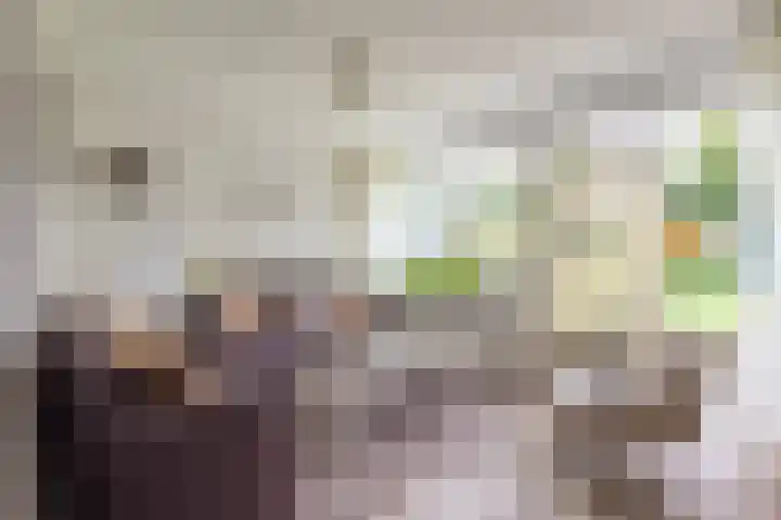 Esdoornlaan 51 Vroomshoop thumbnail 6