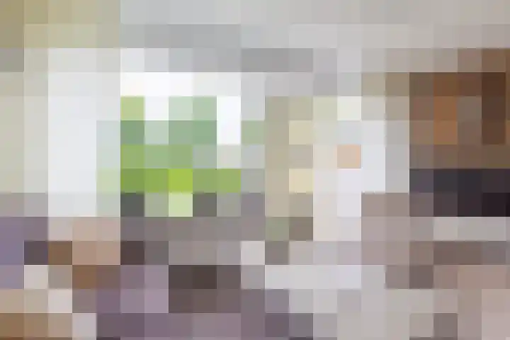 Esdoornlaan 51 Vroomshoop thumbnail 7