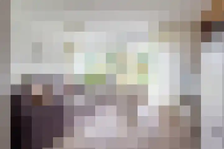 Esdoornlaan 51 Vroomshoop thumbnail 8