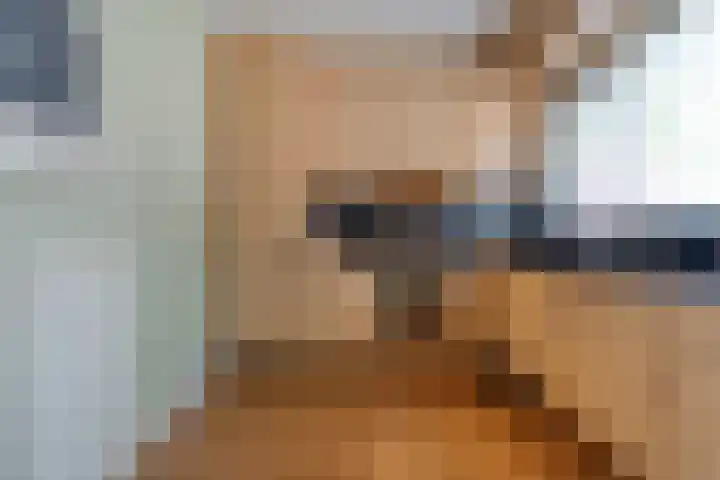 Esdoornlaan 53 Vroomshoop thumbnail 11