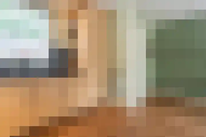 Esdoornlaan 53 Vroomshoop thumbnail 12