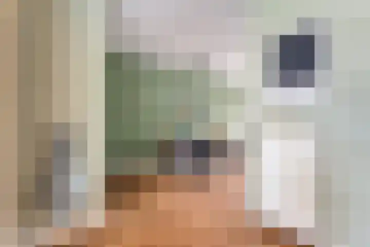 Esdoornlaan 53 Vroomshoop thumbnail 14