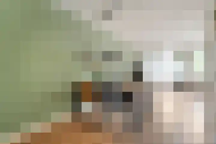 Esdoornlaan 53 Vroomshoop thumbnail 15