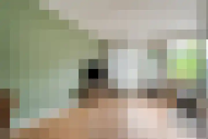 Esdoornlaan 53 Vroomshoop thumbnail 17