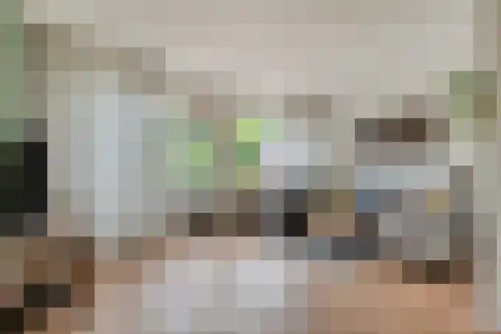Esdoornlaan 53 Vroomshoop thumbnail 18