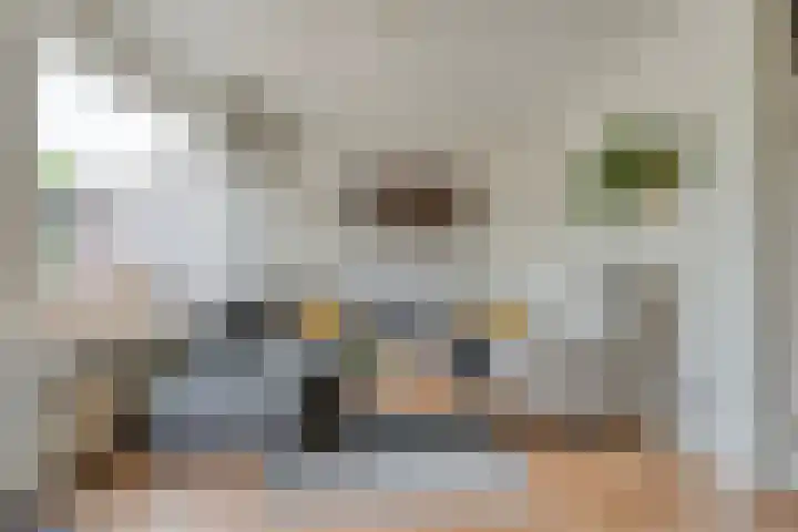 Esdoornlaan 53 Vroomshoop thumbnail 19