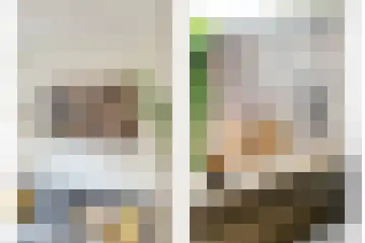 Esdoornlaan 53 Vroomshoop thumbnail 21