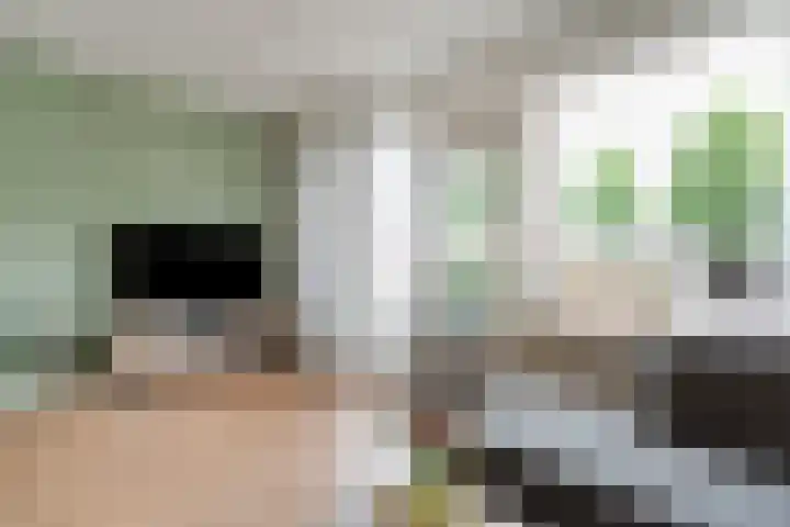 Esdoornlaan 53 Vroomshoop thumbnail 22