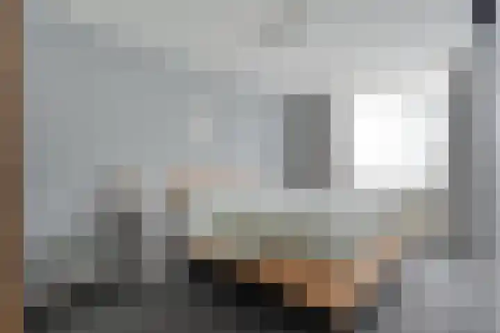 Esdoornlaan 53 Vroomshoop thumbnail 24