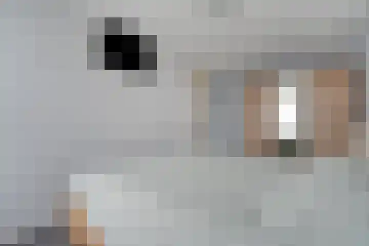 Esdoornlaan 53 Vroomshoop thumbnail 25