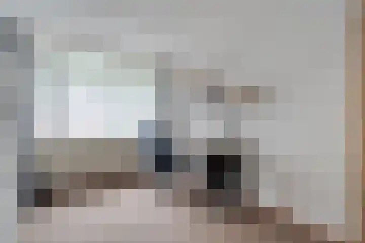 Esdoornlaan 53 Vroomshoop thumbnail 29
