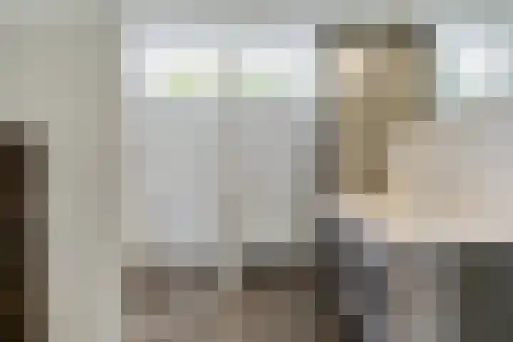 Esdoornlaan 53 Vroomshoop thumbnail 30