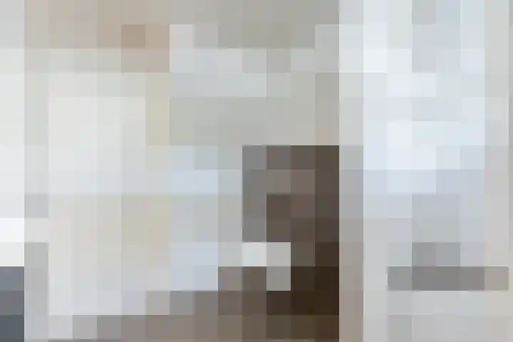 Esdoornlaan 53 Vroomshoop thumbnail 31