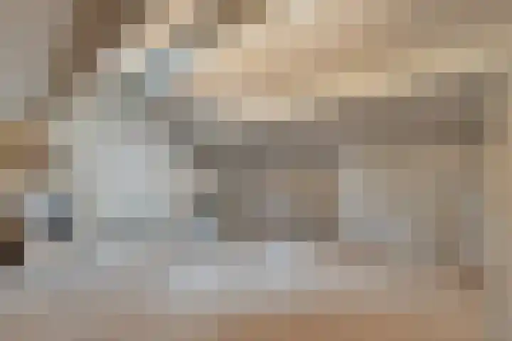 Esdoornlaan 53 Vroomshoop thumbnail 34