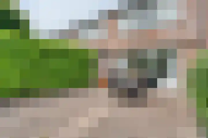 Esdoornlaan 53 Vroomshoop thumbnail 38