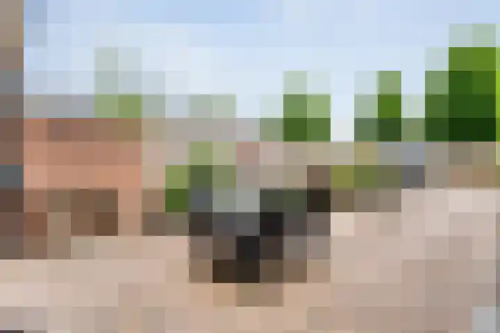 Esdoornlaan 53 Vroomshoop thumbnail 39