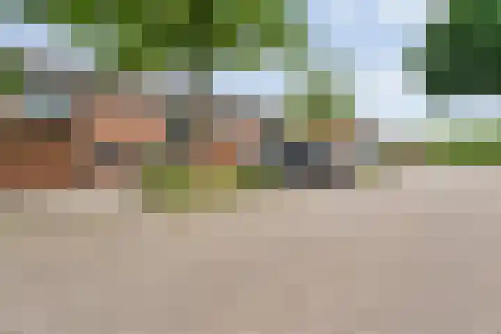 Esdoornlaan 53 Vroomshoop thumbnail 4