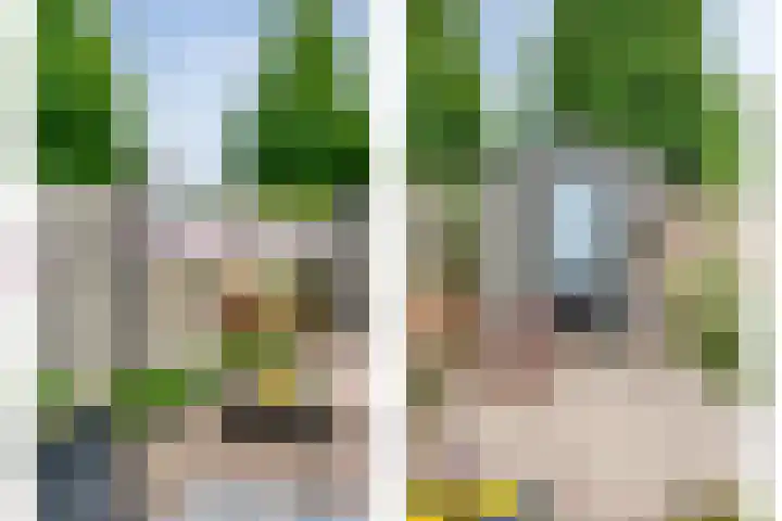 Esdoornlaan 53 Vroomshoop thumbnail 40