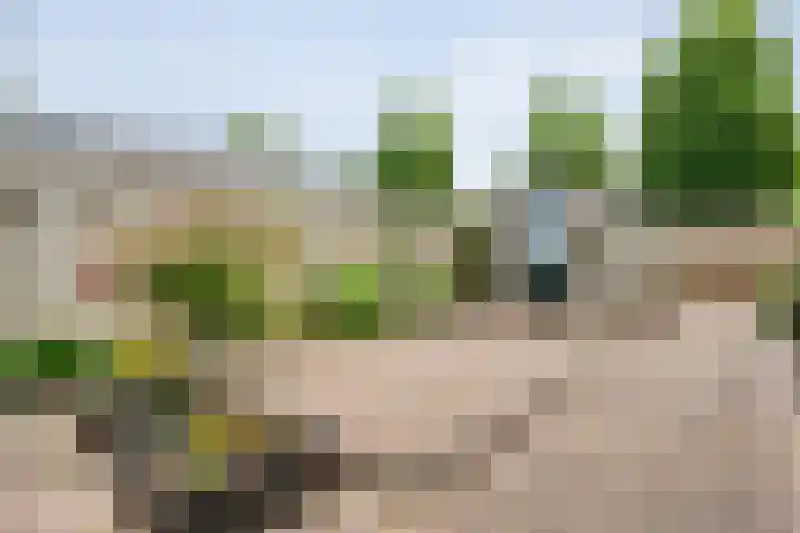 Esdoornlaan 53 Vroomshoop thumbnail 41